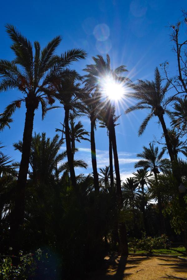 Rafaello Apartment ,,La Zona Cabo Roig, Area Cabo Roig" Orihuela Exteriér fotografie